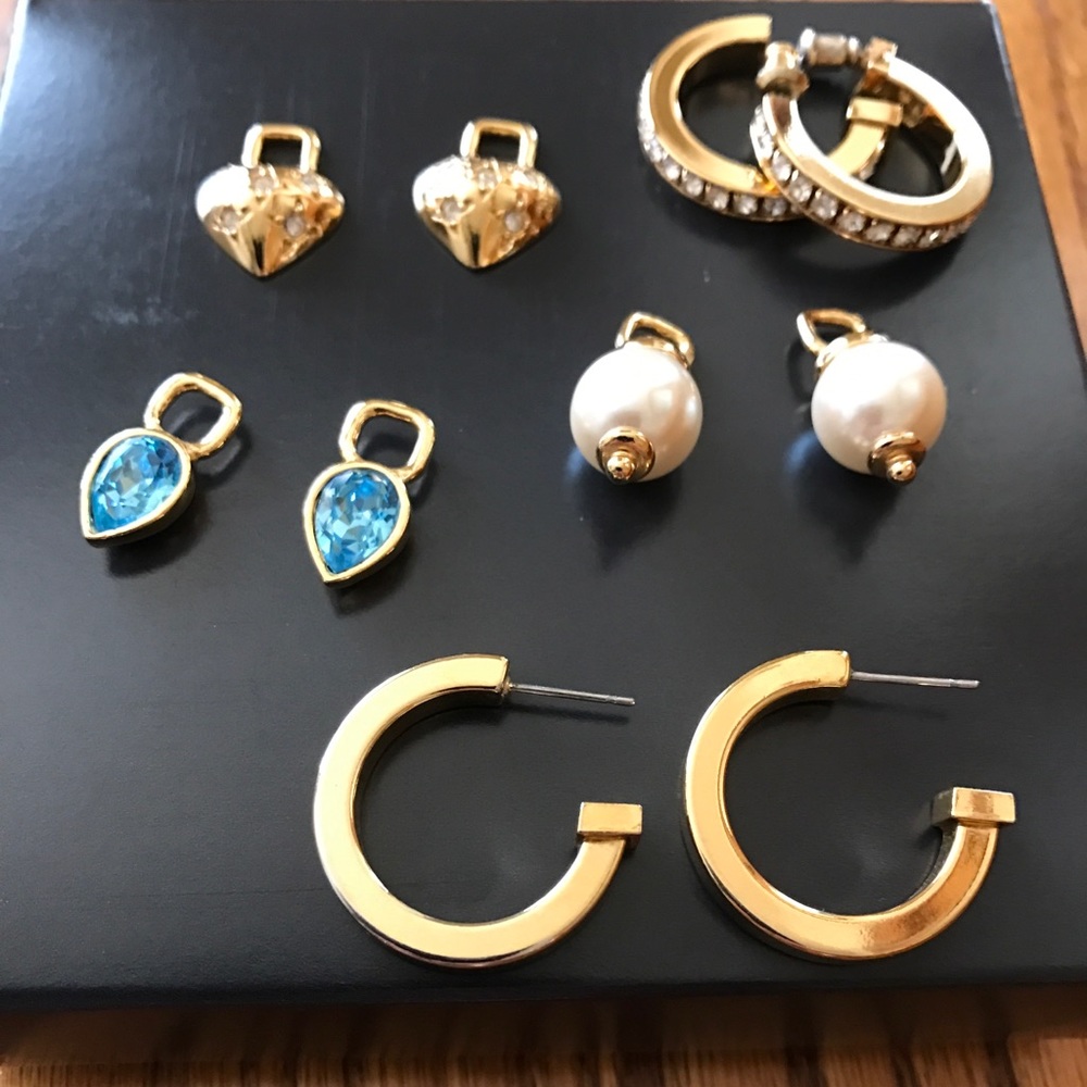 Earring Interchangeable Set